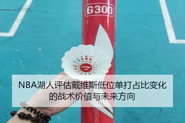 NBA湖人评估戴维斯低位单打占比变化的战术价值与未来方向