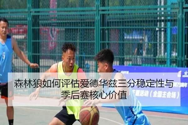 森林狼如何评估爱德华兹三分稳定性与季后赛核心价值